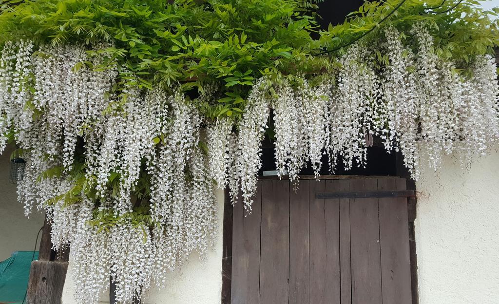 Saint-Pé-Delbosc Les Tilleuls Bed & Breakfast エクステリア 写真